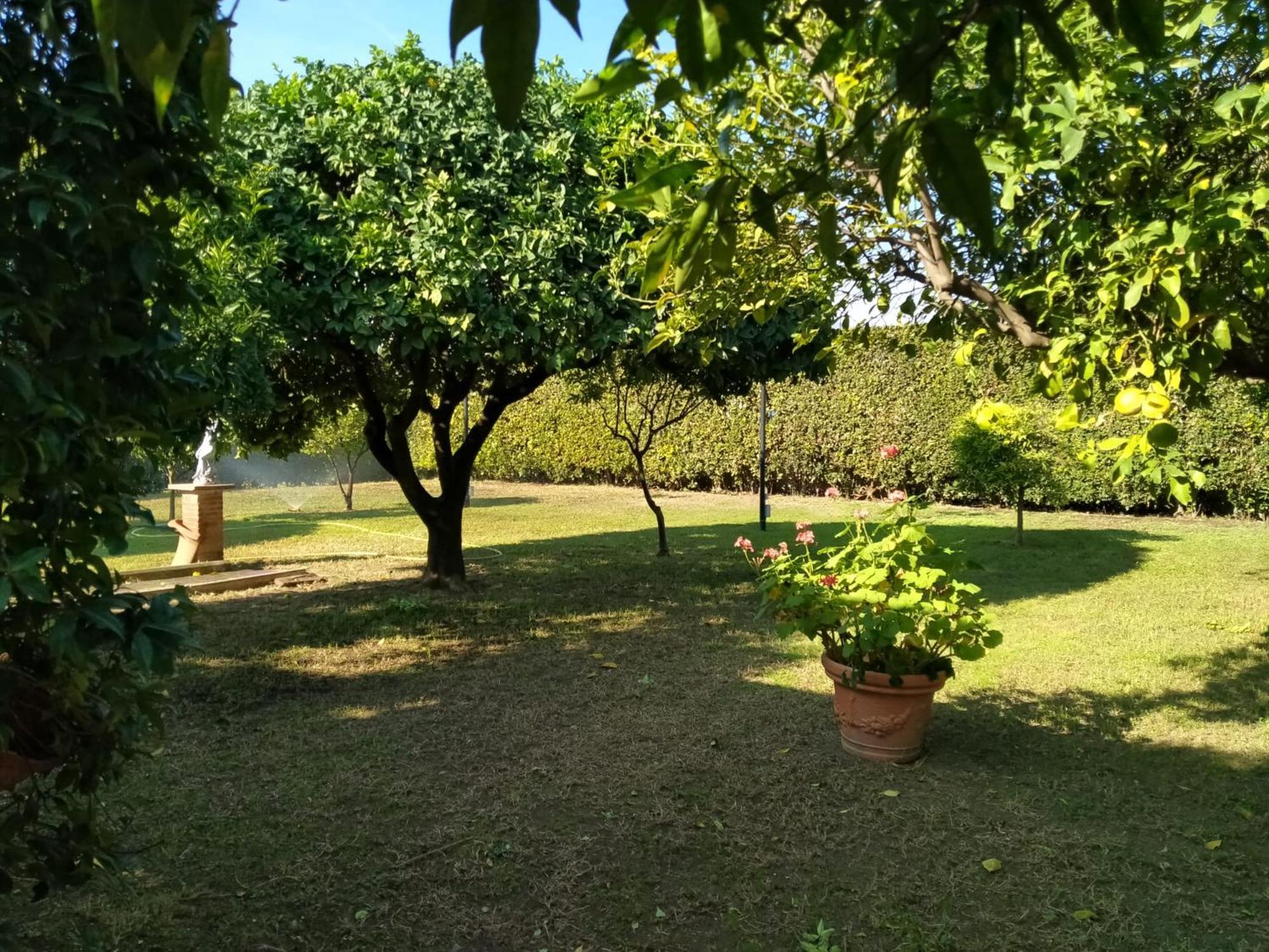 Da Ninnilla Holiday Home Scafati Exterior foto